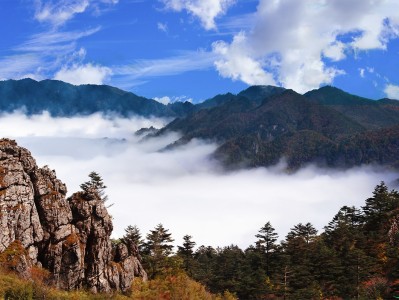 呼和浩特神农架：秘境之旅，云海奇观，草原牧歌，探寻世外桃源